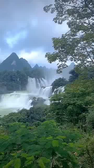 发现冷知识的结婚前,父母的话必须听吗?平台,爱上学习的奇趣世界